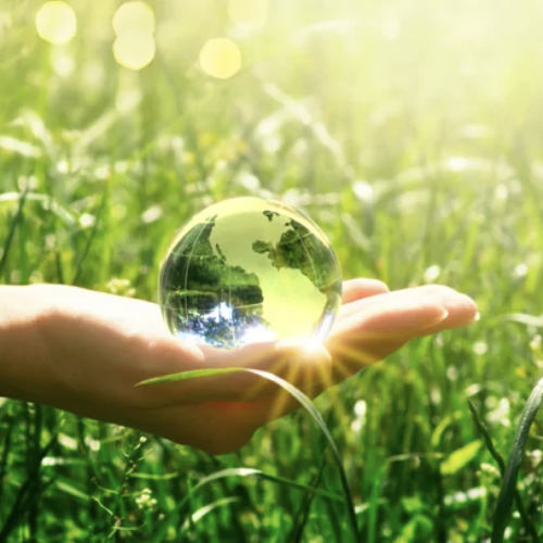 陽光に照らされた芝生の上でガラス球を持つ手