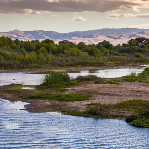 River landscape with lush greenery and mountains under a cloudy sky